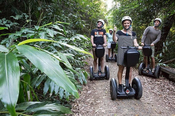 a group of people riding segways through a jungle.