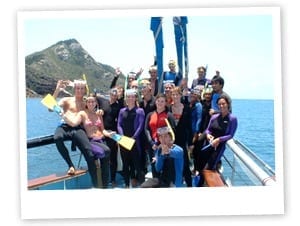 Can I snorkel and dive in the Whitsundays?