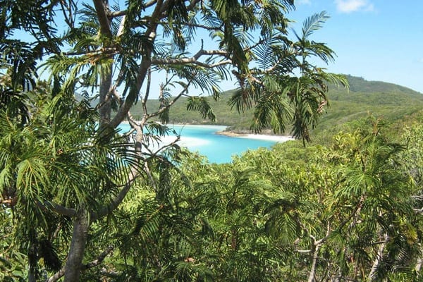 Hill Inlet lookout views