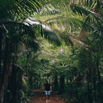 Where can I bush walk in the Whitsundays?