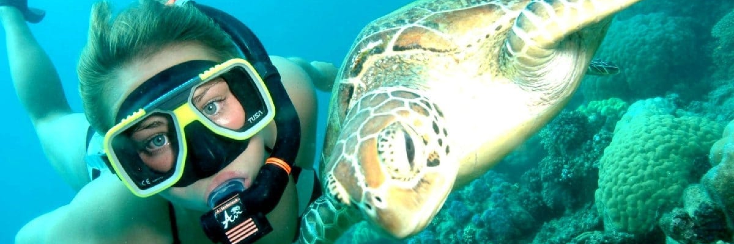 Big-Fury-Snorkelling-with-Turtle-2400x800_xx