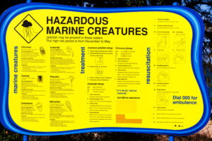 Box jellyfish season in Australia. Hazardous marine creatures