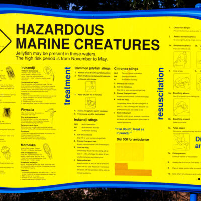 Stingers in the Whitsundays