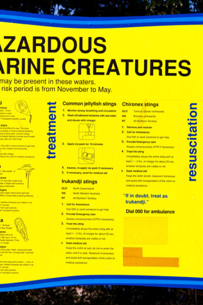 A sign warning of dangerous marine creatures during box jellyfish season.