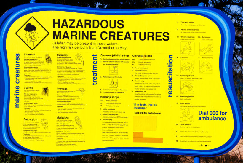 A sign warning of dangerous marine creatures during box jellyfish season.