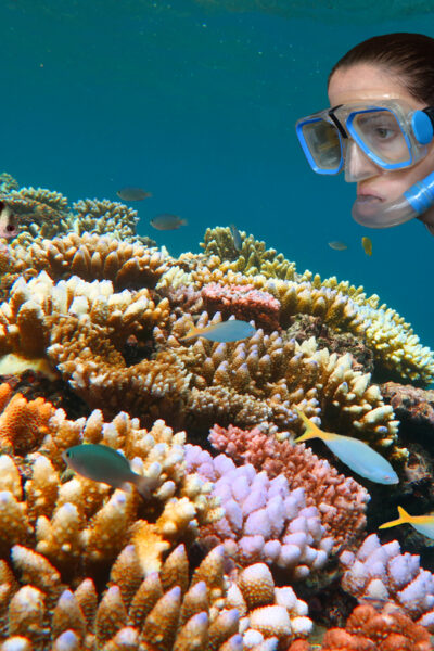 Fish in the great barrier reef and a Young woman snorkelling
