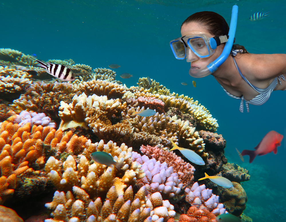 Fish in the great barrier reef and a Young woman snorkelling