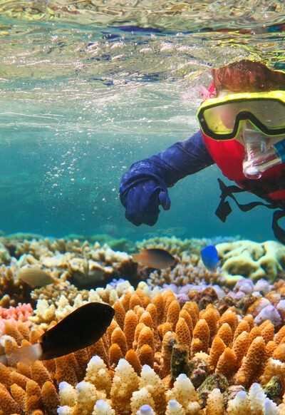 coral in the Great Barrier Reef